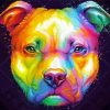 Colorful Pit Bull Art paint by number