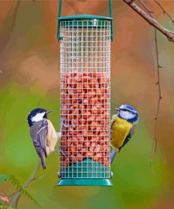 Cute Birds Feeder paint by number