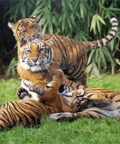 Cute Tiger Mother With Babies paint by number