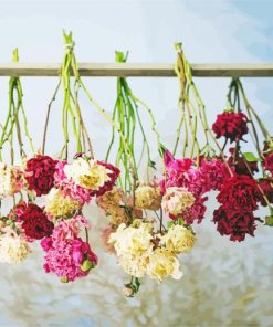 Dried Flowers Hanging paint by number