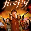 Firefly Poster paint by number