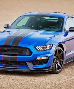 Ford Mustang Shelby GT350R paint by number