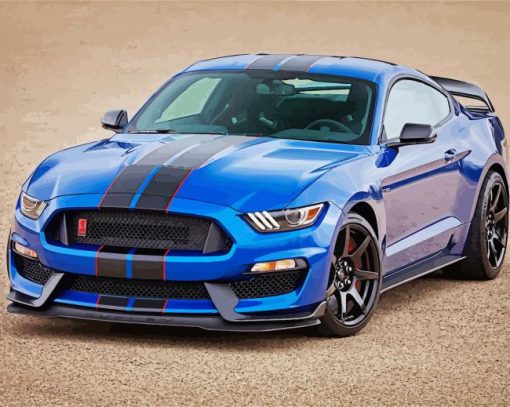 Ford Mustang Shelby GT350R paint by number