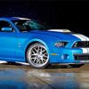 Ford Shelby Cobra Sport Car paint by number