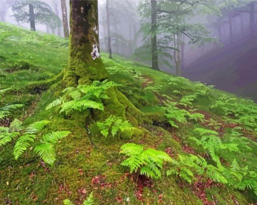 Green Ferns In Forest Paint by number