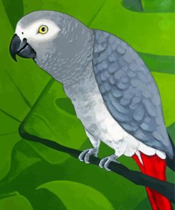 Grey Parrot paint by number