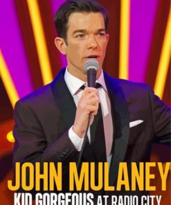 John Mulaney Poster Paint by number