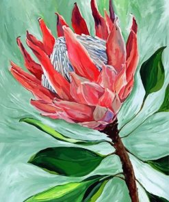 King Protea Plant Art paint by number