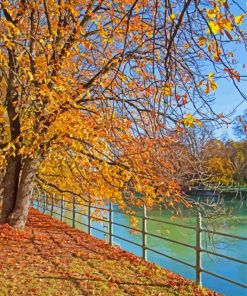 Munich Golden Leaves Promenade paint by number