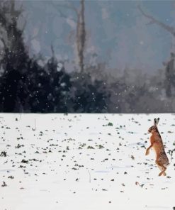 Rabbit Dancing In Snow paint by number