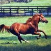 Secretariat Horse Running paint by number