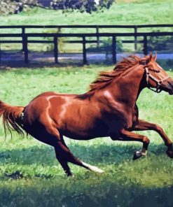 Secretariat Horse Running paint by number