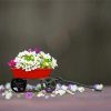 Small Red Flower Cart paint by number