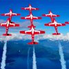 Snowbirds Air Show paint by number