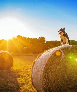 Sunset Harvest And Dog paint by number