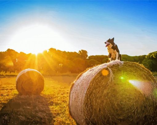 Sunset Harvest And Dog paint by number