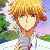 Takumi Usui From Kaichou Wa Maid Sama paint by number