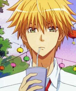 Takumi Usui From Kaichou Wa Maid Sama paint by number