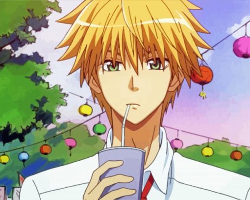 Takumi Usui From Kaichou Wa Maid Sama paint by number