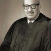 Thurgood Marshall American Lawyer paint by number