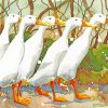 White Indian Runner Duck paint by number