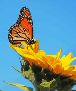 Yellow Sunflower With Butterfly paint by number