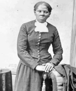 Black And White Harriet Tubman paint by number