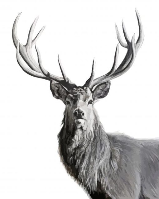 Black And White Highland Stag Animal paint by number