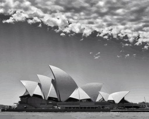 Black And White Sydney paint by number