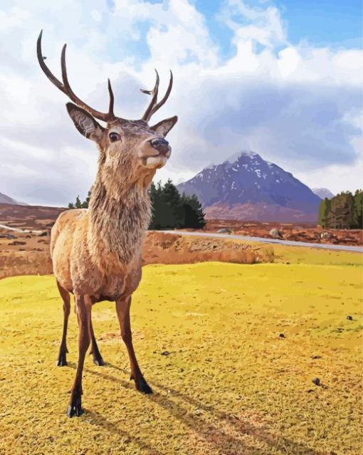 Cute Highland Stag Animal paint by number