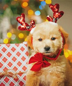 Cute Santa Puppy paint by number