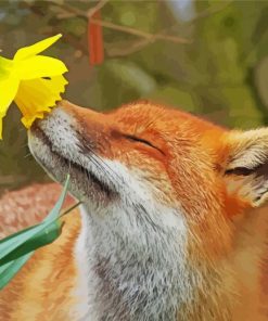 Cute Fox Smelling Flowers paint by number