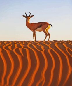 Deer In Desert Animal paint by number