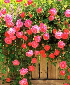 Fence And Flowers paint by number