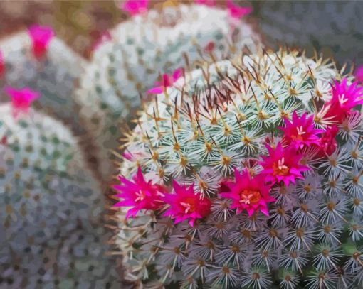 Pink Flowers Cactus paint by number