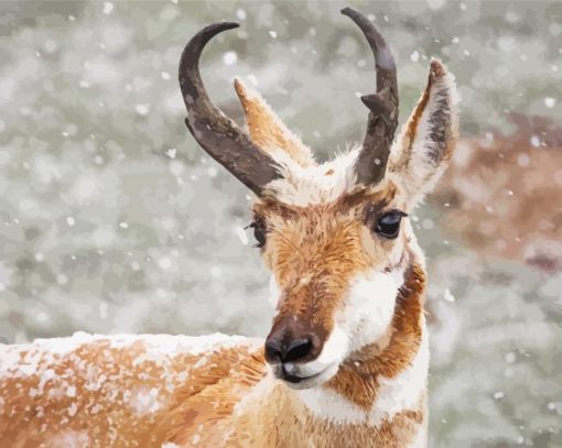 Pronghorn In Snow paint by number