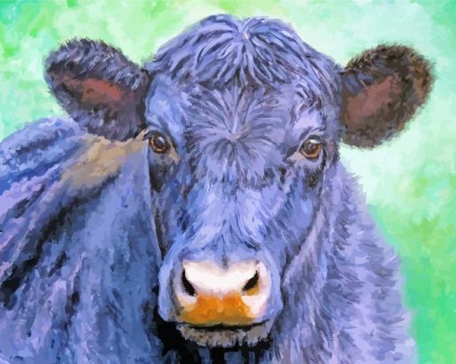 Black Angus Cow paint by number