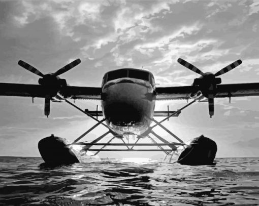 Black And White Twin Otter Aircraft paint by number