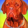 Bordeaux Mastiff Art paint by number