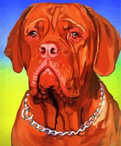 Bordeaux Mastiff Art paint by number