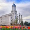 Cedar City Temple Garden Paint by number