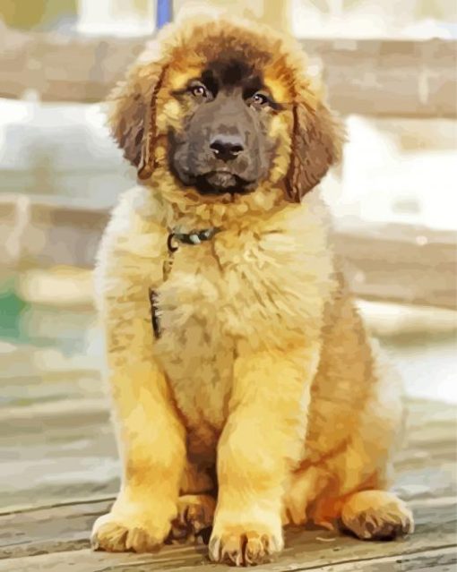 Cute Golden Leonberger paint by number