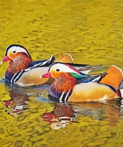 Ducks Swimming Paint by number