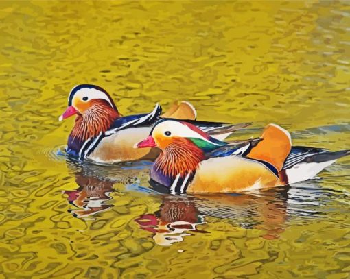 Ducks Swimming Paint by number