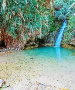 Ein Gedi Israel Paint by number