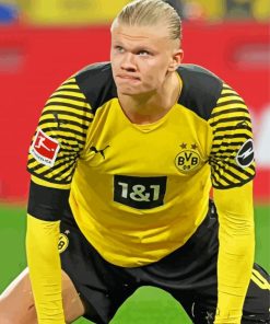 Erling Haaland Borussia Dortmund BVB Player paint by number