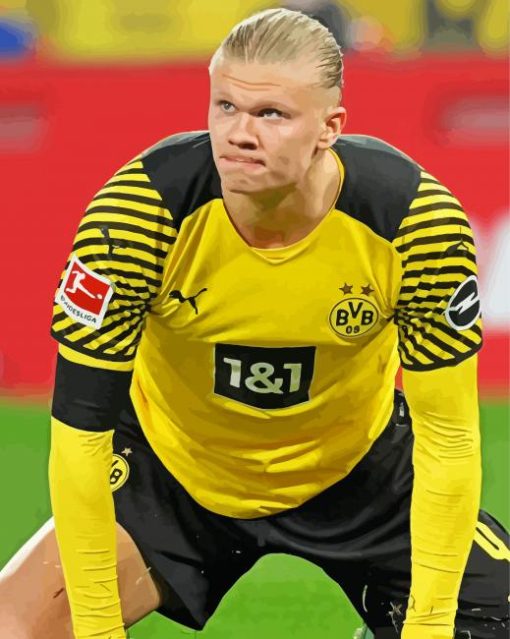 Erling Haaland Borussia Dortmund BVB Player paint by number