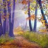 Foggy Forest Path paint by number