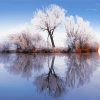 Frozen Trees Lake paint by number