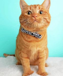 Ginger Cat In Bow Tie paint by number